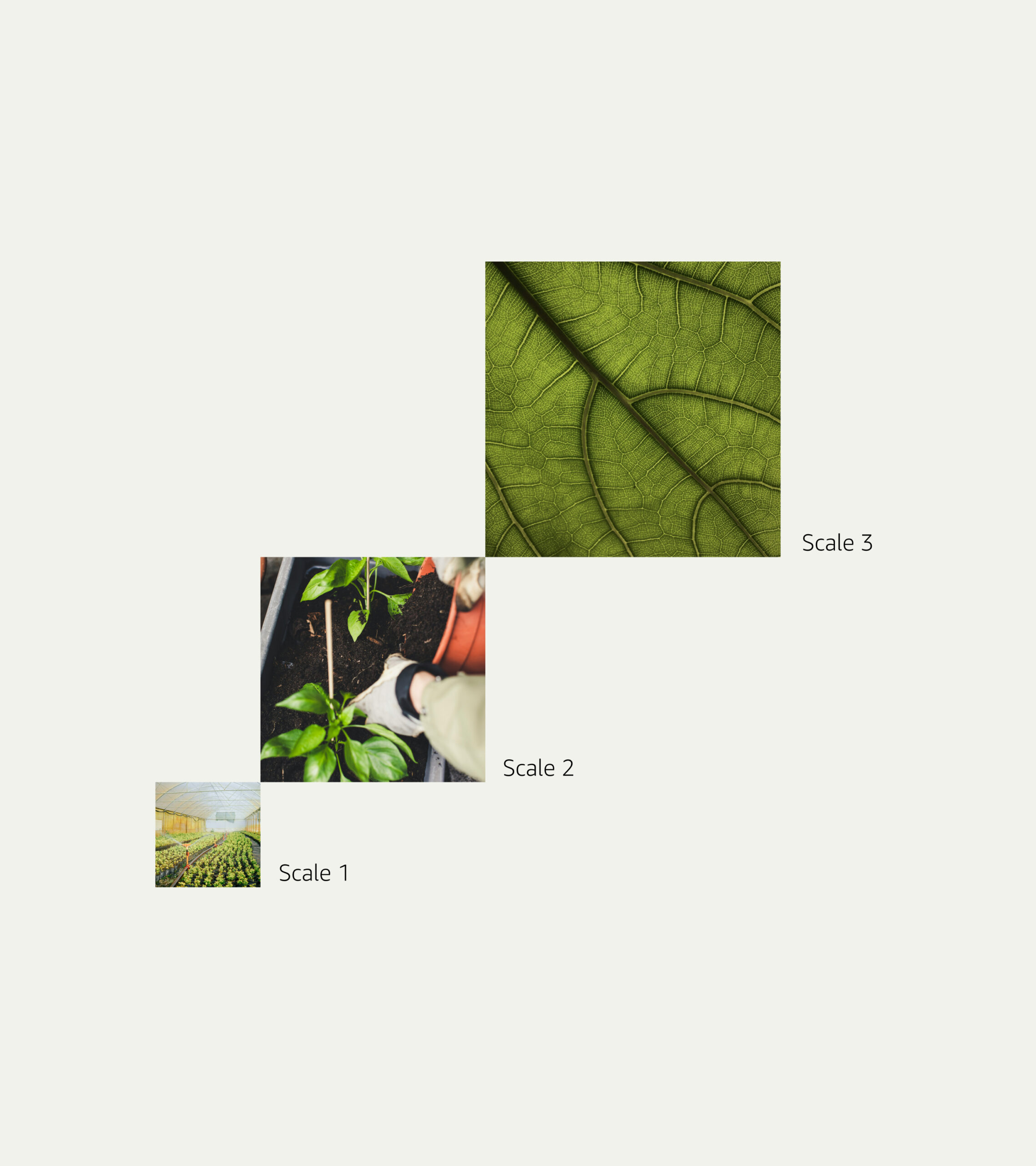 photo_logic_1920x2160_2 photo_logic_1920x2160_2